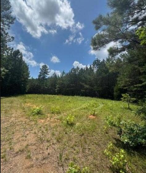 Lot N1 Old Edgefield Rd, Ninety Six, SC 29666 - photo 1