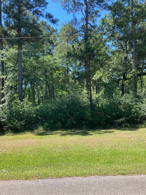 TBD Forest Trail, Hockley, TX 77447 - photo 1