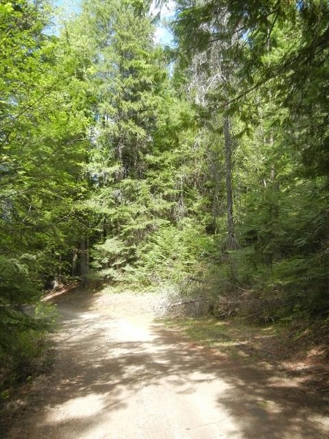 1895 Blue Creek Rd W, Chewelah, WA 99109 - photo 1