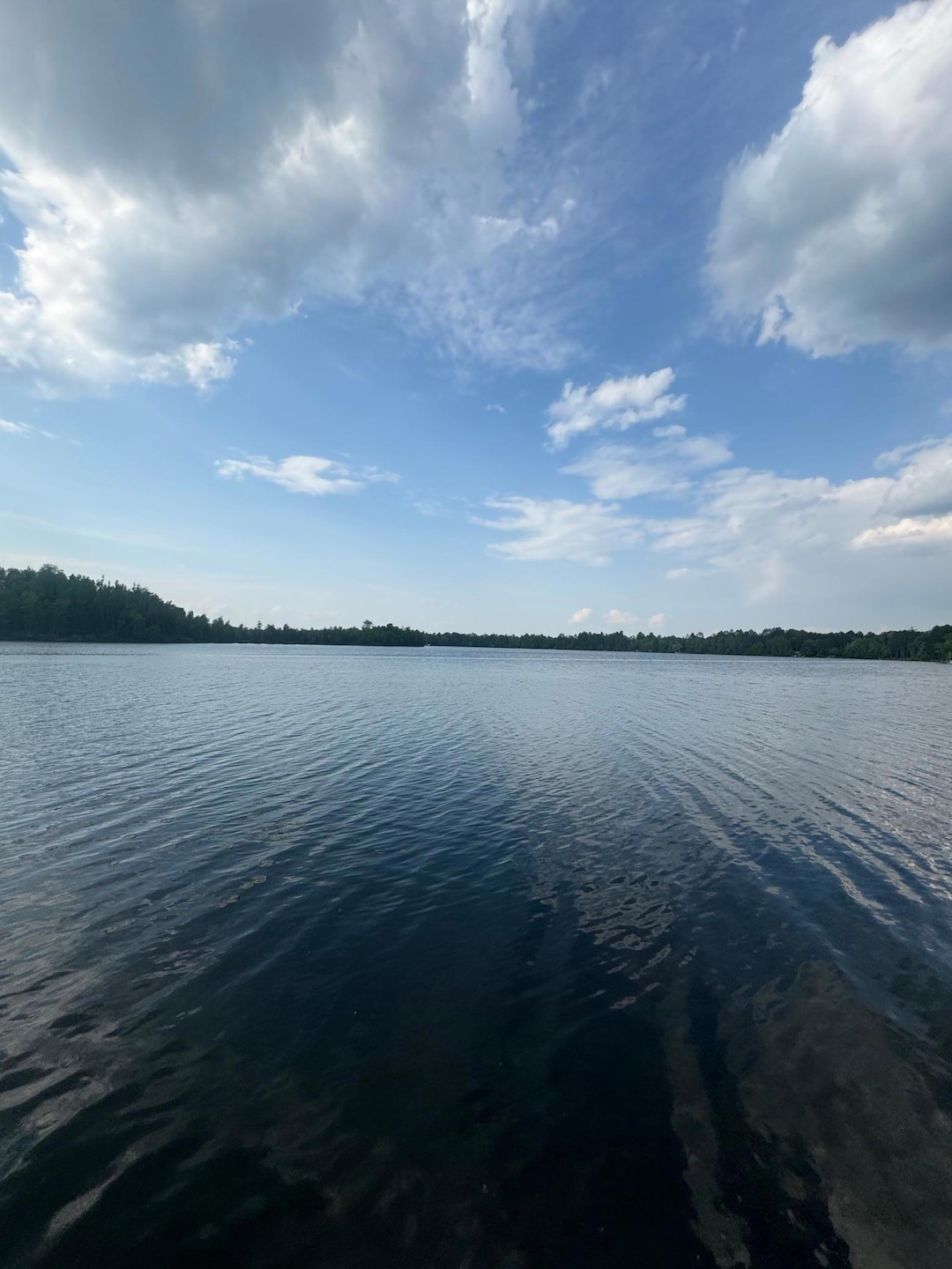 Sold $130,000 • Co-Listing Agent