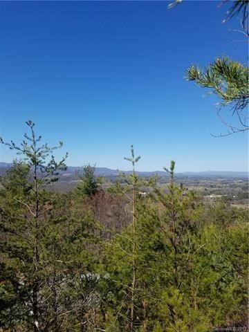 91 Balsamwood Dr unit 30, Leicester, NC 28748 - photo 1