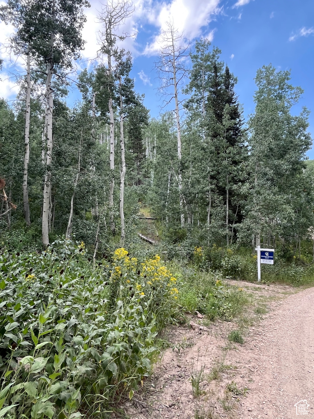 View of dirt / gravel road