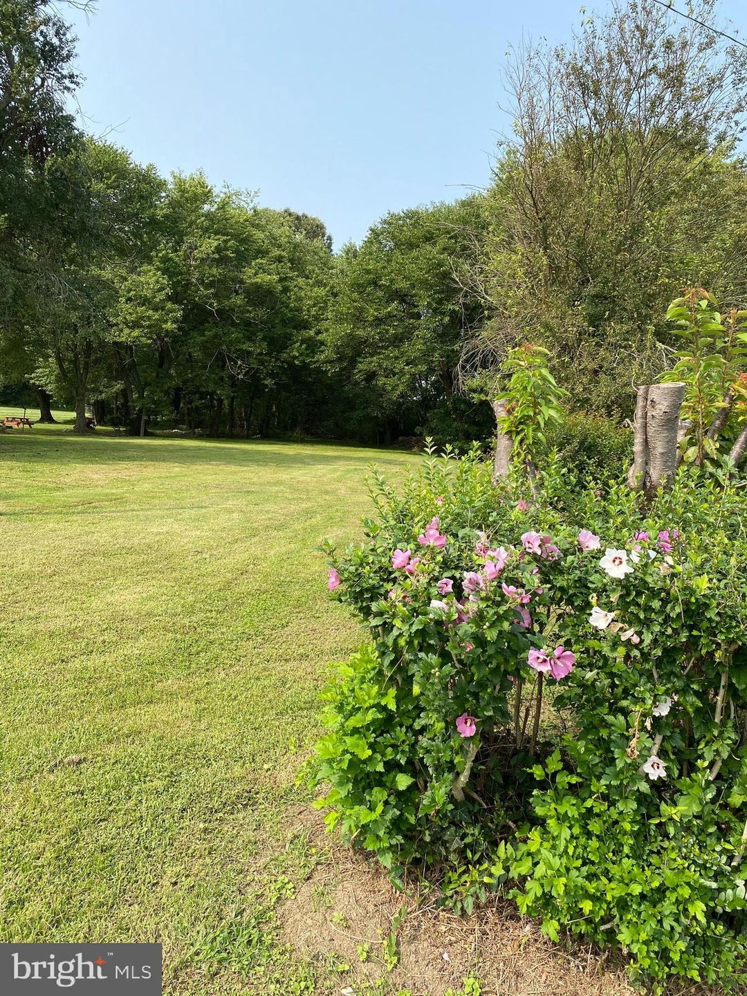 6484 Rock Hall Rd, Rock Hall, MD 21661 - photo 1