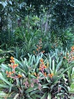 1151 Cypress Woods Dr, Naples, FL 34103 - photo 1