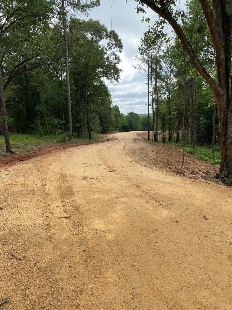 TBD Cr 405 & Hwy 334, Oxford, MS 38655 - photo 1