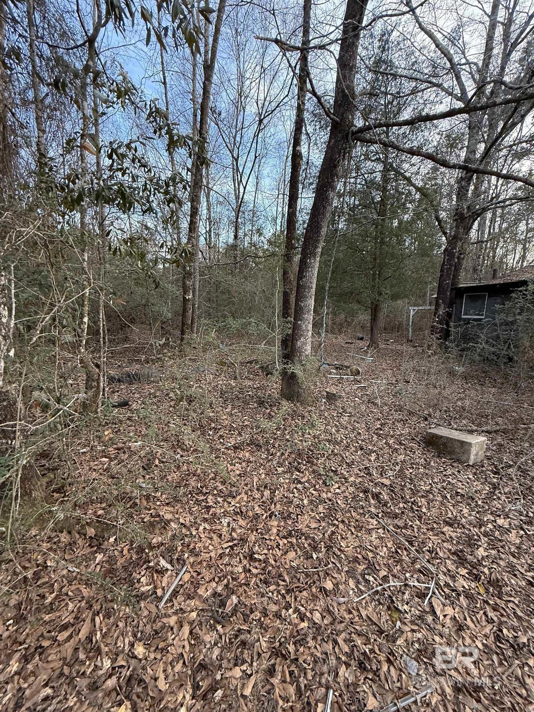 0 Harmon Williams Rd unit 374119, Mobile, AL 36608 - photo 1