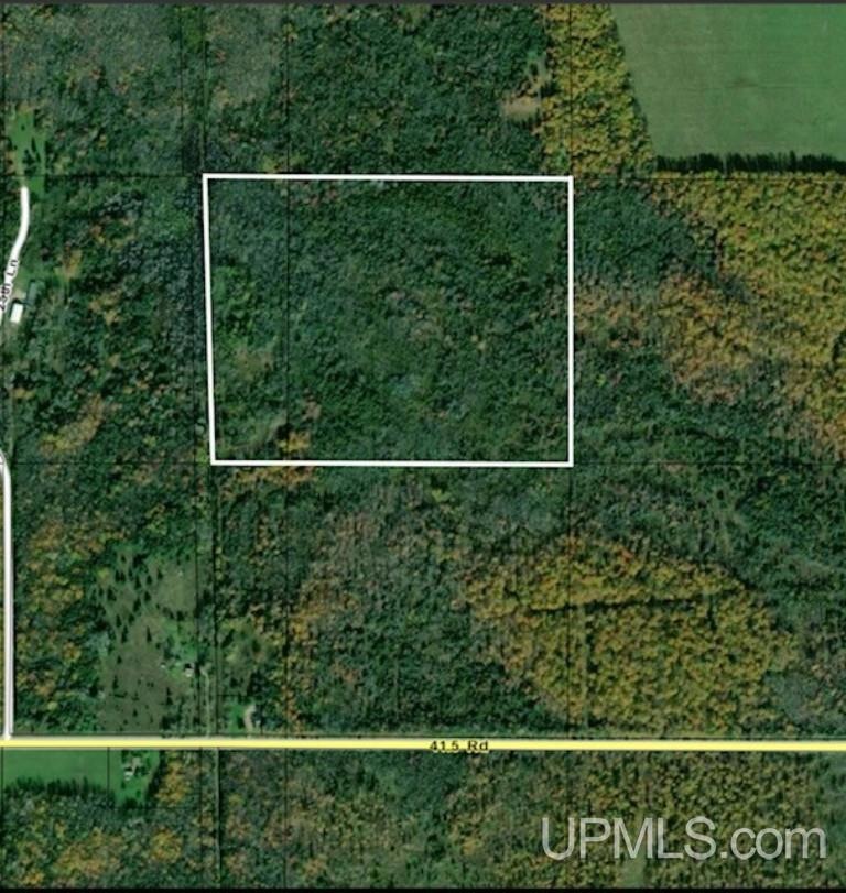 Off 25th Ln, Masonville Township, MI 49878 - photo 1