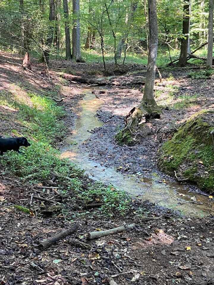 0 Motes Rd unit 9048231, Dewey Rose, GA 30634 - photo 1