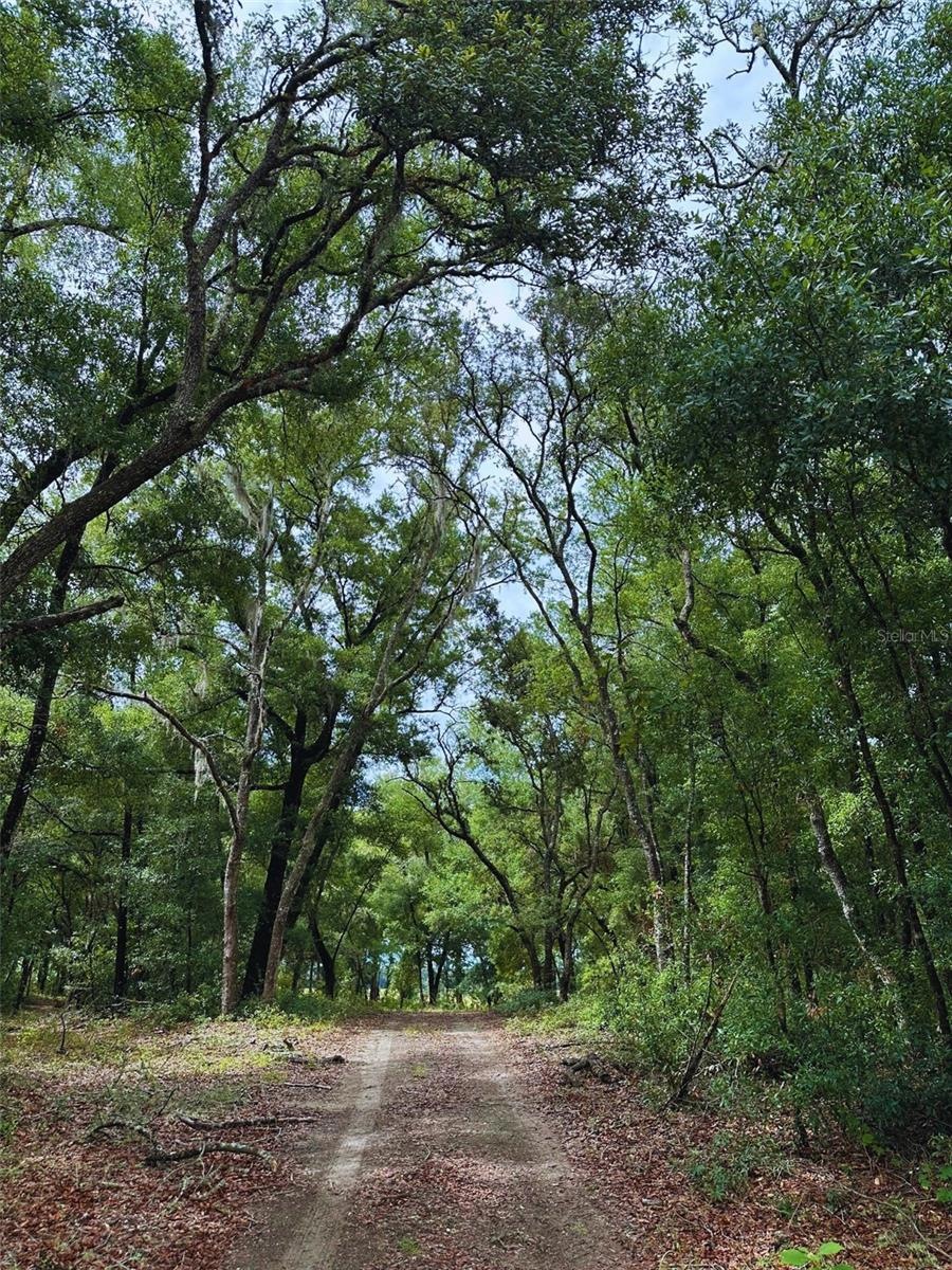 TBD SW 69th Place, Dunnellon, FL 34431 - photo 1