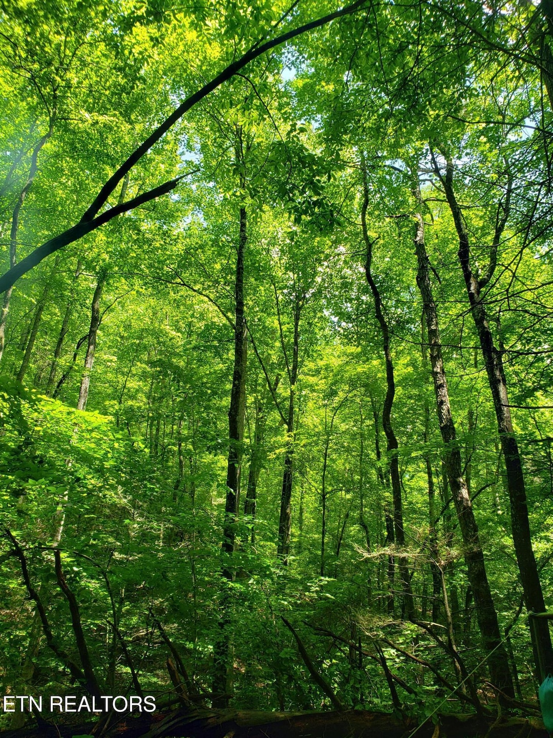 For Sale $249,000 • Co-Listing Agent