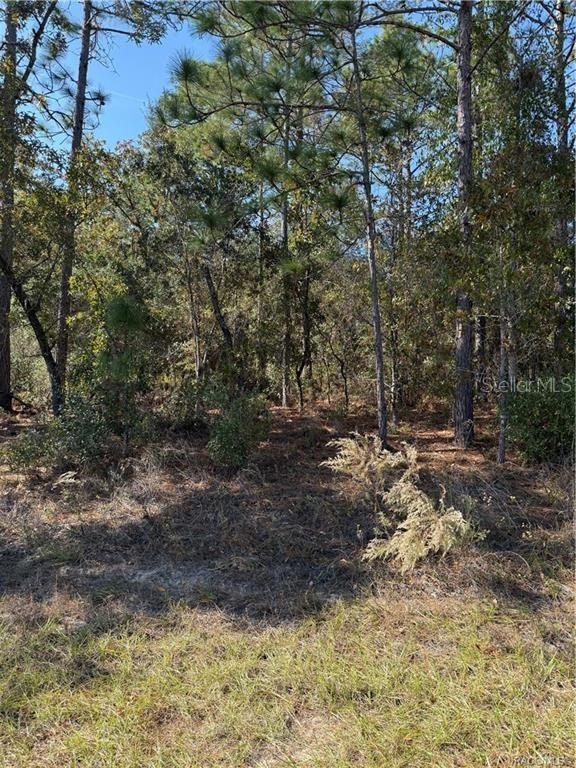 unlisted-address, Citrus Springs, FL 34433 - photo 1