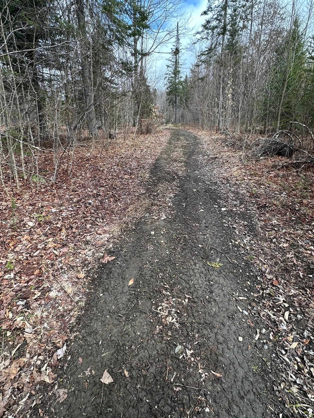 Driveway onto lot