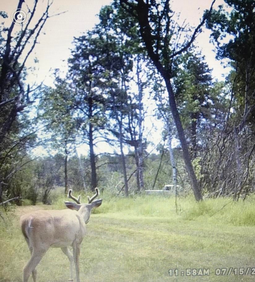 VL Carney AVe Main Photo