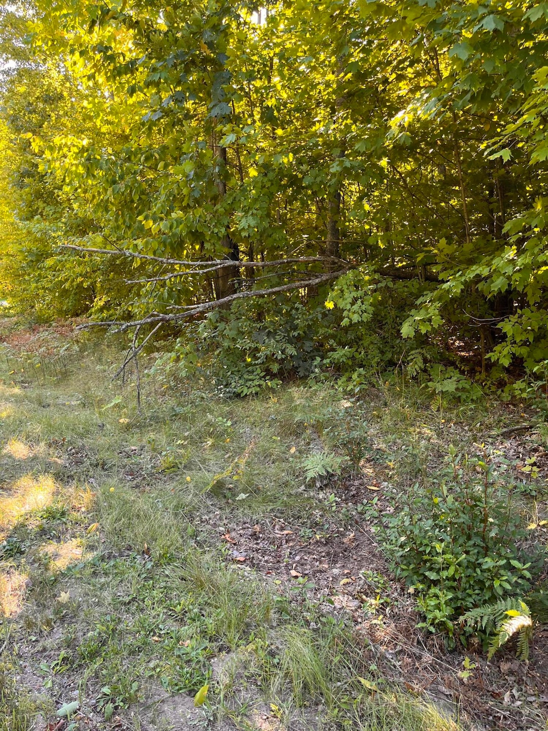 For Sale $8,000 • Co-Listing Agent