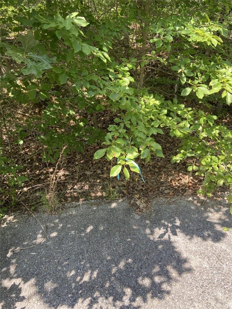 0 Carsaig Cir unit 1189228, Bella Vista, AR 72715 - photo 1