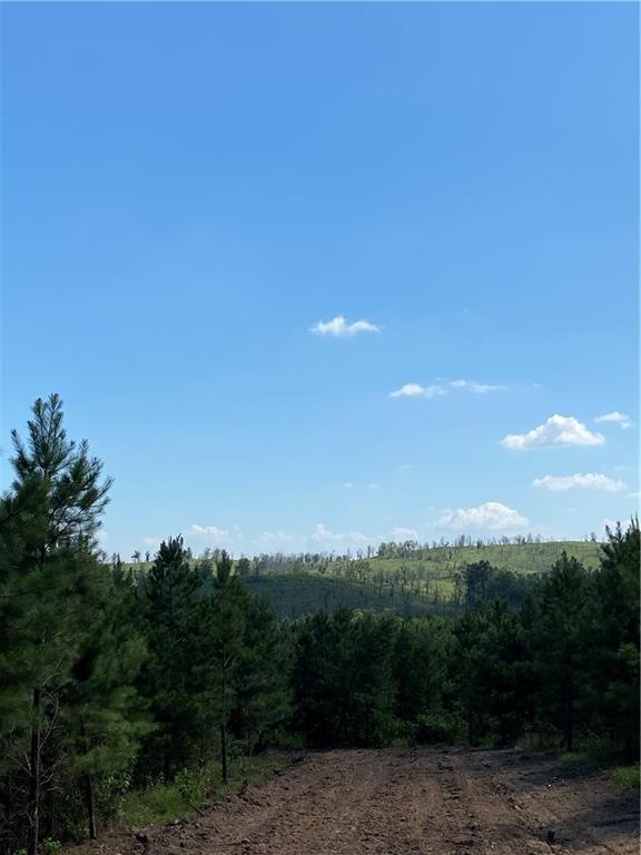 74 Ruts Pines Loop, Broken Bow, OK 74728 - photo 1