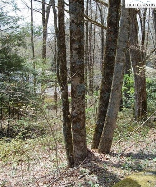 439 Locust Rd, Newland, NC 28657 - photo 1