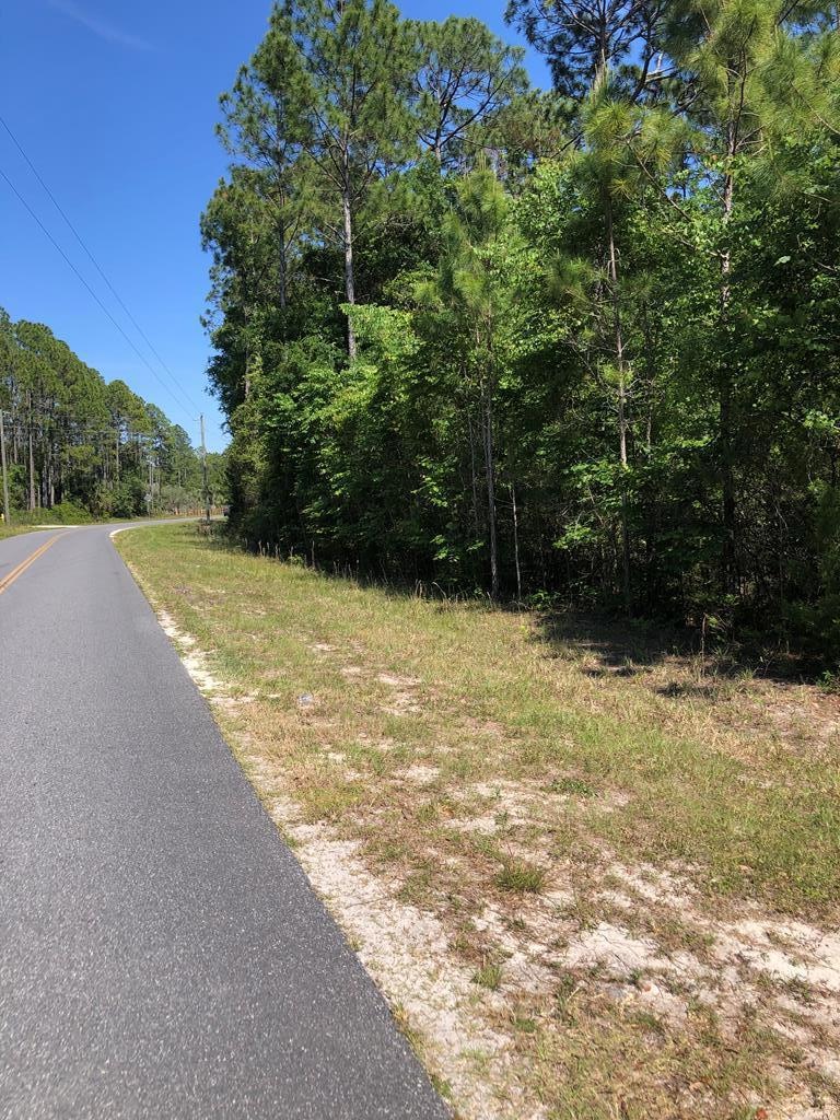 L Sugar Hill Rd, Steinhatchee, FL 32359 - photo 1