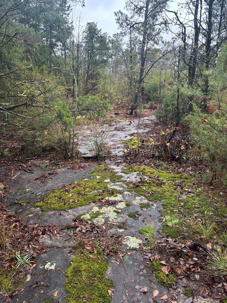 1206 Rock Bridge Dr, Columbus, GA 31904 - photo 1