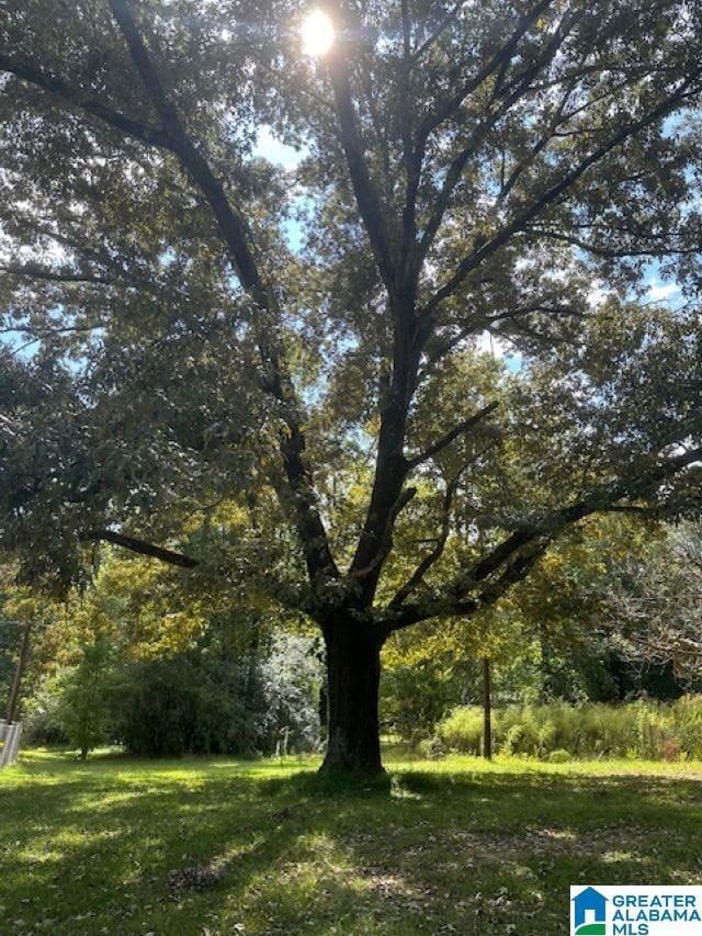 2227 Harris Wright Dr, Birmingham, AL 35242 - photo 1