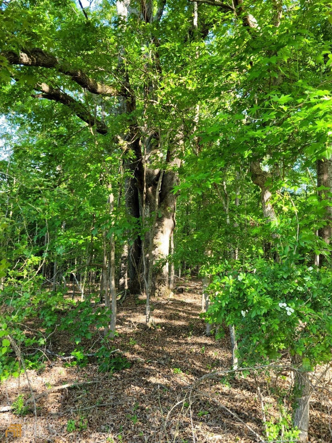 0 Pea Pod Rd unit 20038283, Alvaton, GA 30218 - photo 1