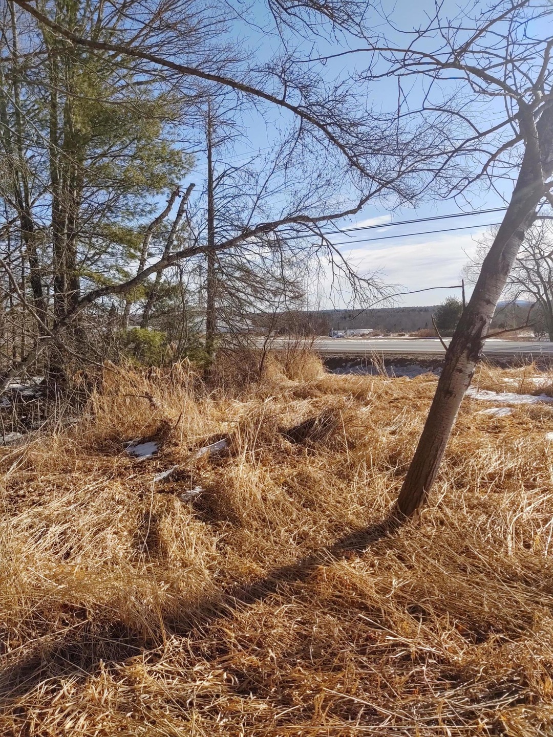 IMG_20200205_095558536_HDR