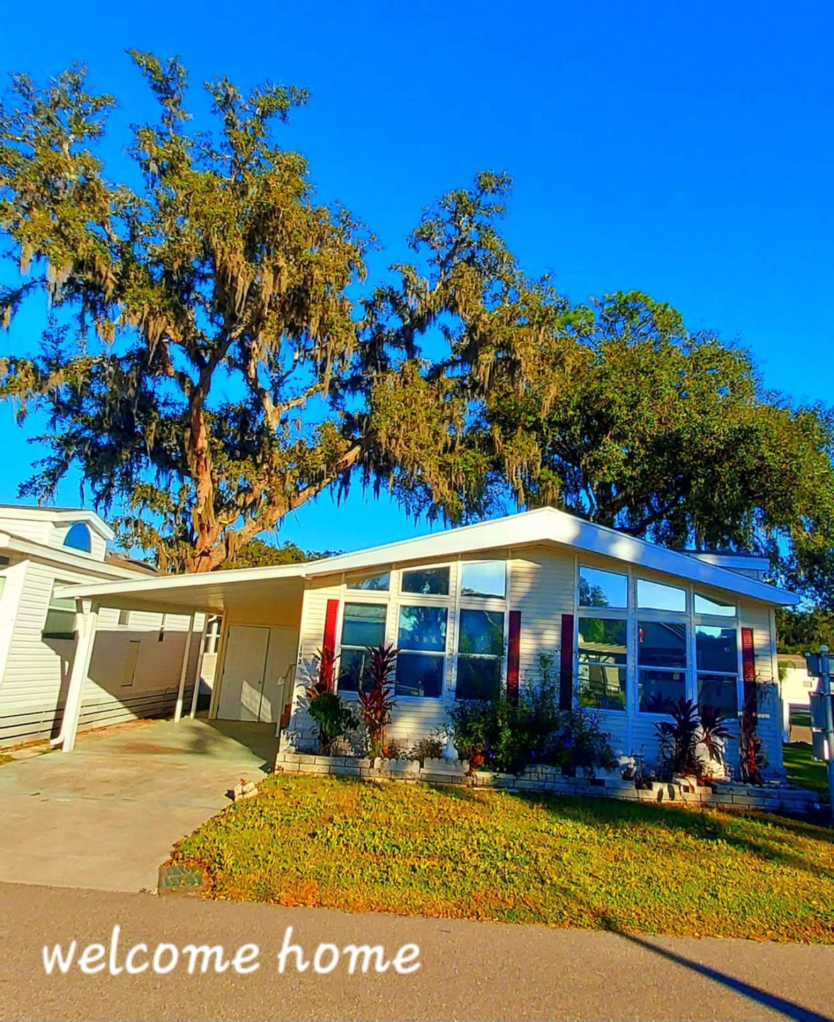 37811 Chancey Rd unit 193, Zephyrhills, FL 33541 - photo 1