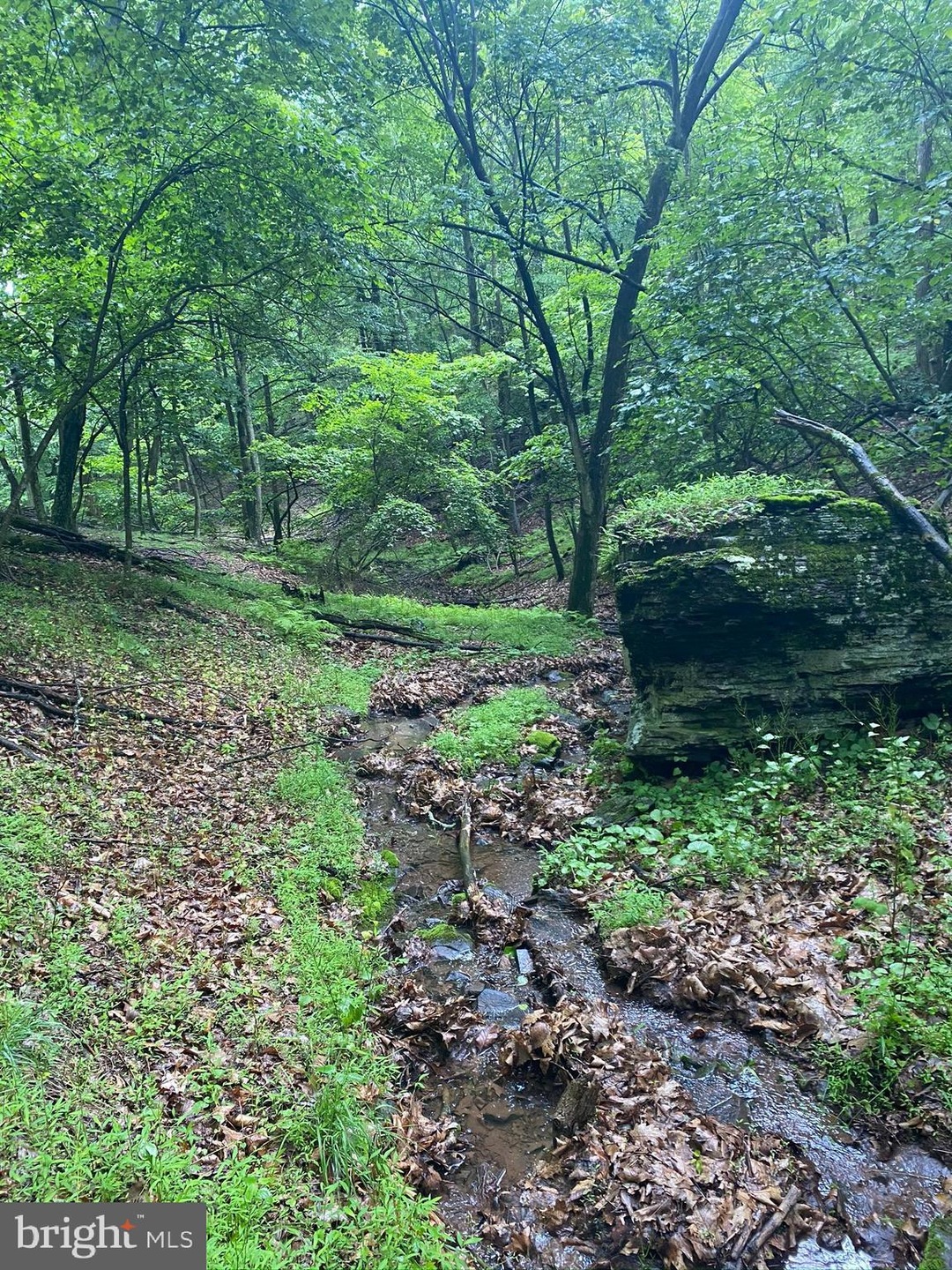 Lot 69 Helmick Rock Run, Lost River, WV 26812 - photo 1