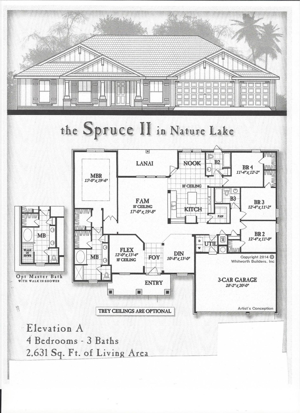 Spruce II