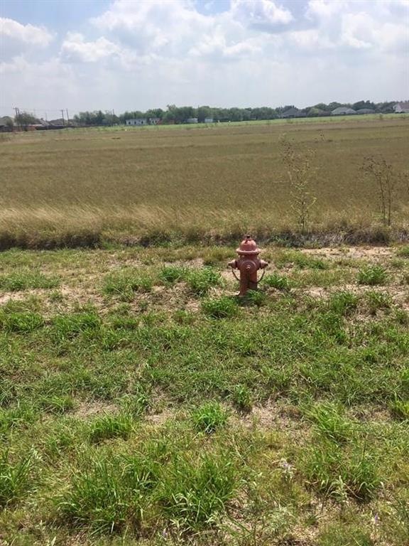 00 Ramsey Rd, Donna, TX 78537 - photo 1