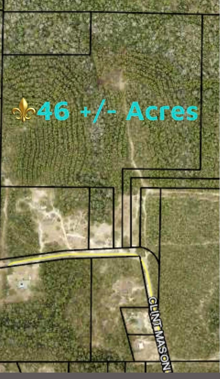 CBBD0054-83F3-4D02-A376-040ECE7F4C93