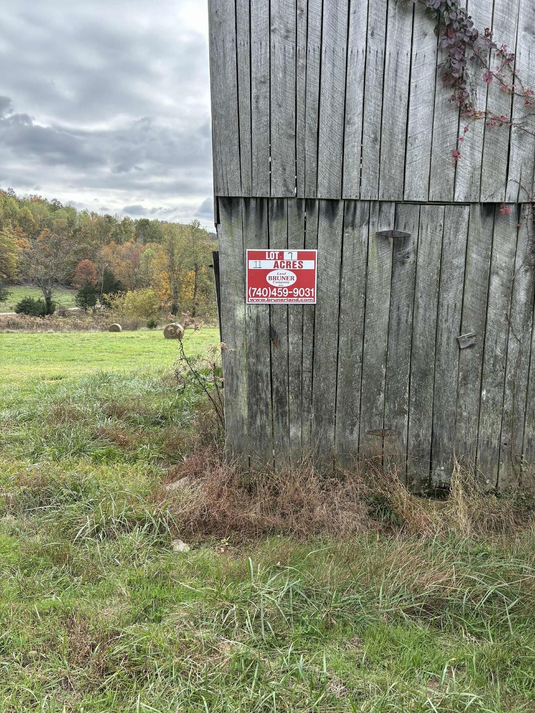 Pine Grove Ch Rd, Vanceburg, KY 41179 - photo 1