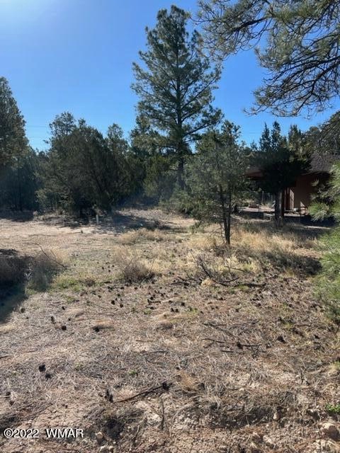 Navajo 2