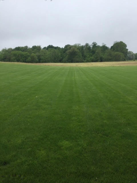 lot 2