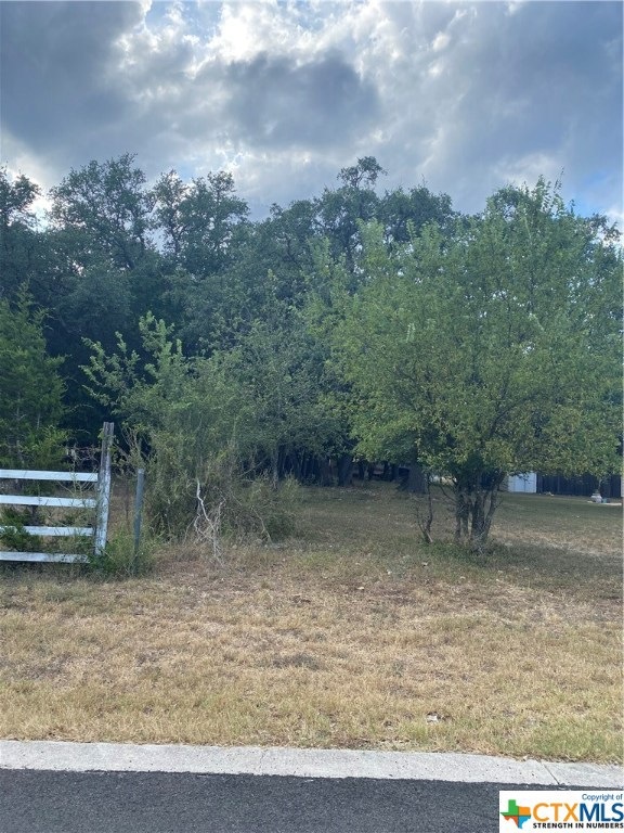 1506 Delmar St, San Marcos, TX 78666 - photo 1