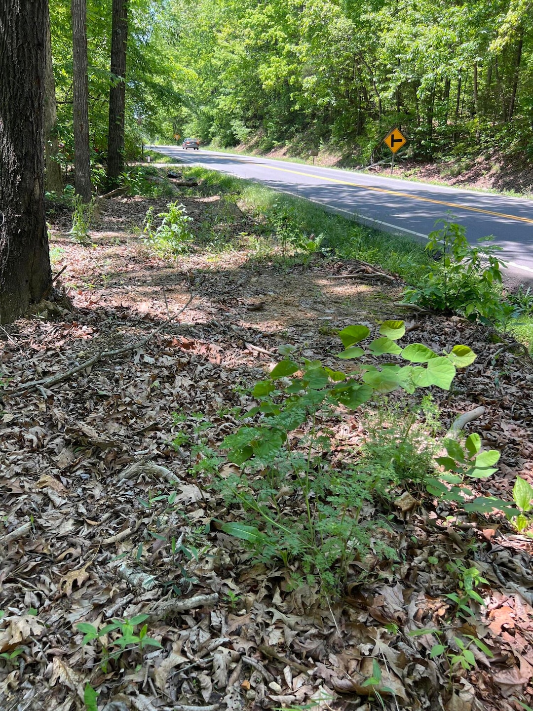 0 Hwy 163 unit 1512095, Calhoun, TN 37309 - photo 1