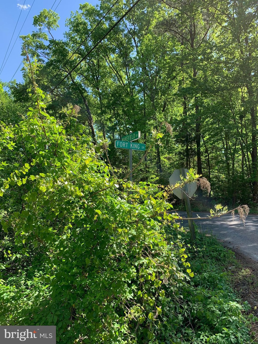 0 Wakefield unit VAWE114436, Colonial Beach, VA 22443 - photo 1