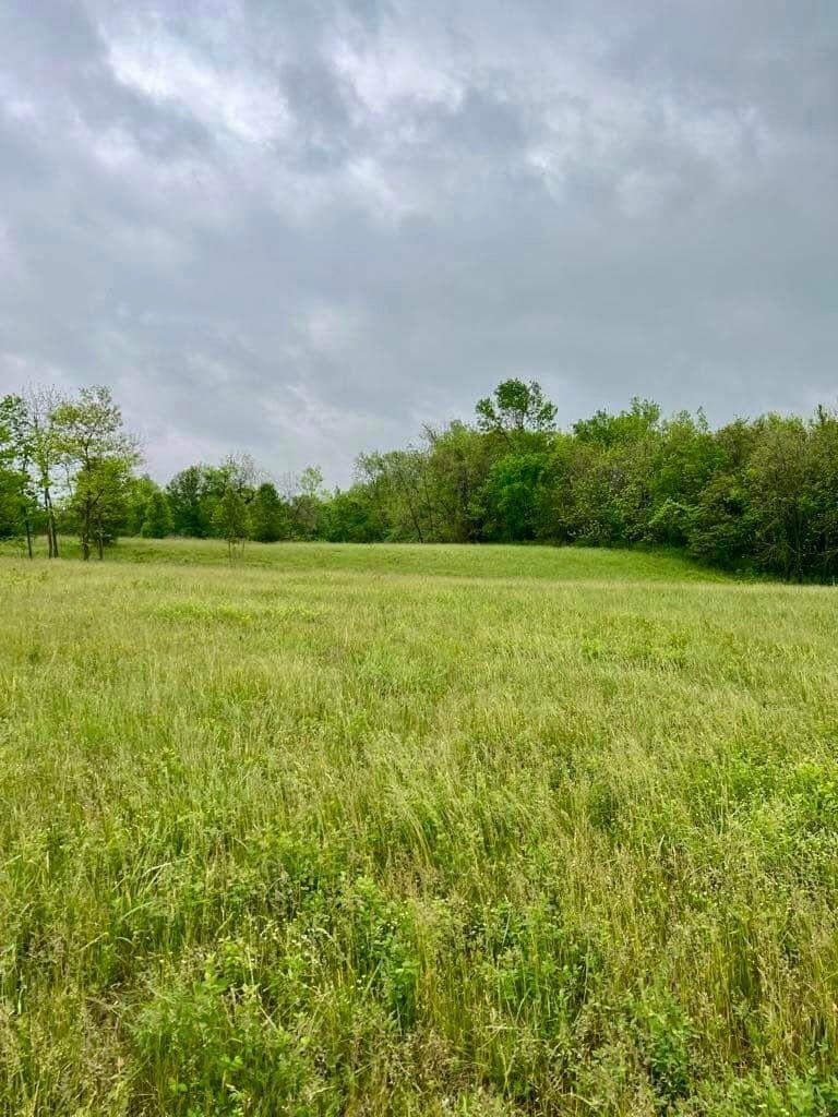 5.05 acres m/l