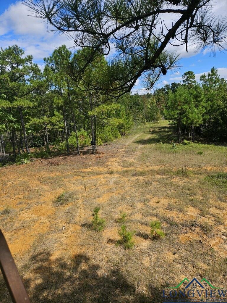 View of nature
