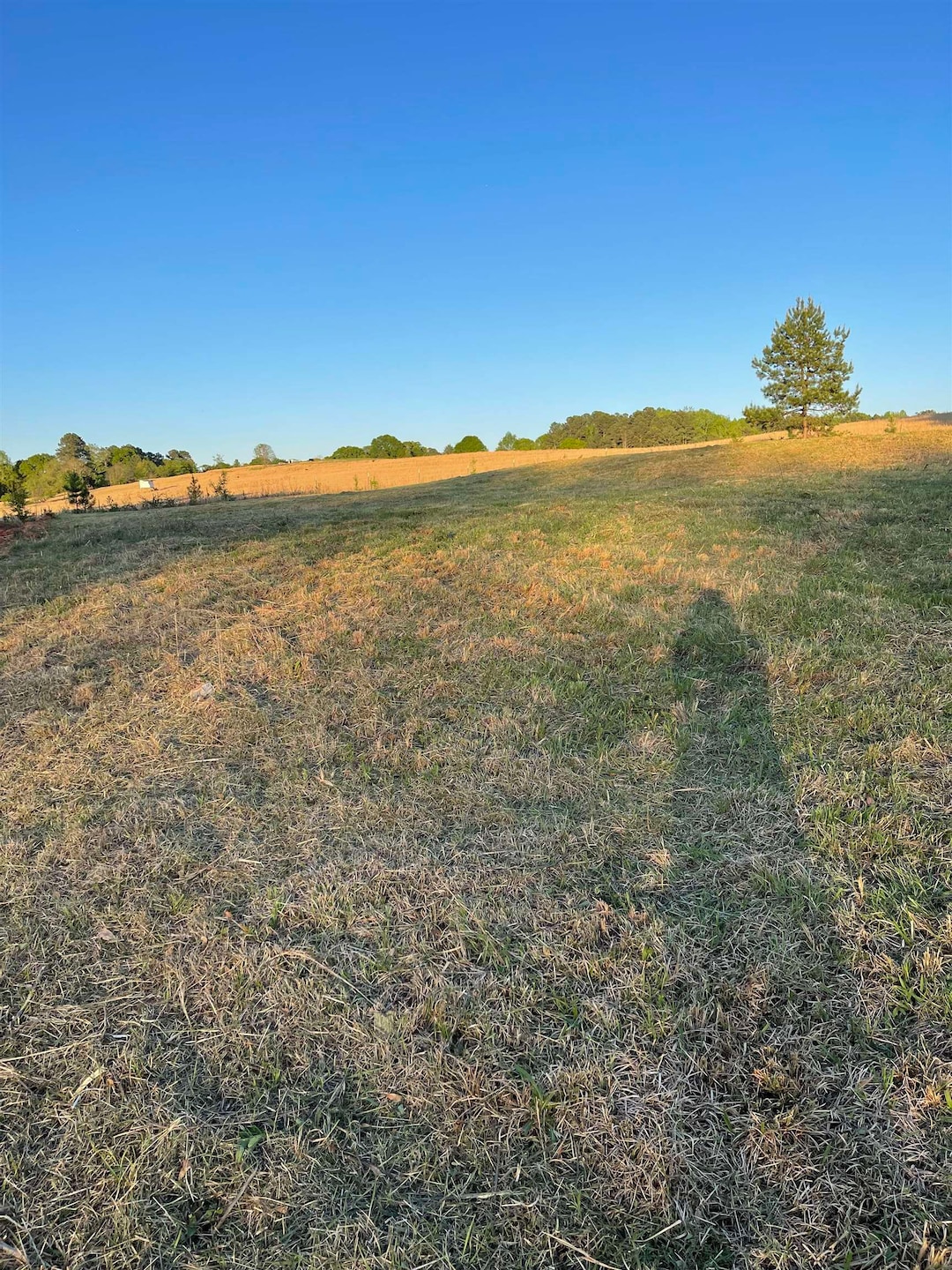 356 Lyman Lake Rd, Lyman, SC 29365 - photo 1