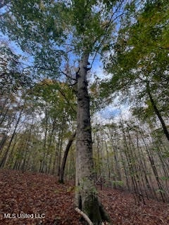 98 AC. PERRY CHAPEL RD.