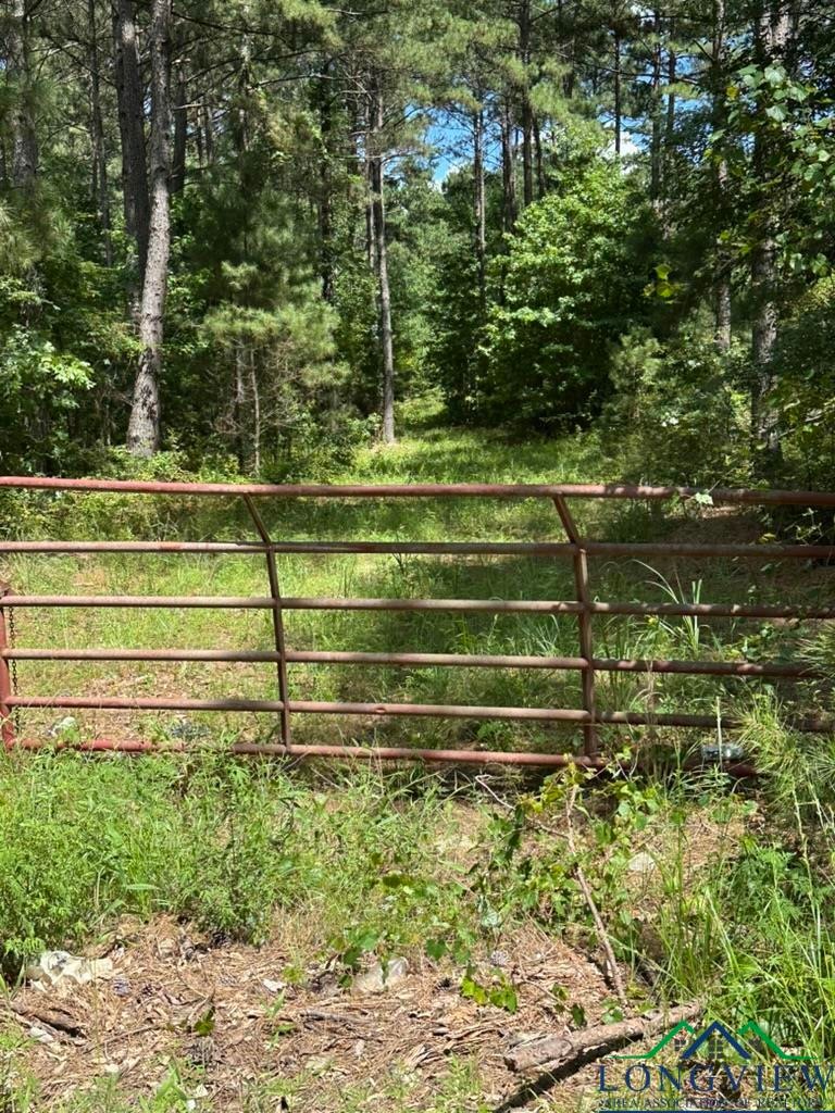 View of gate