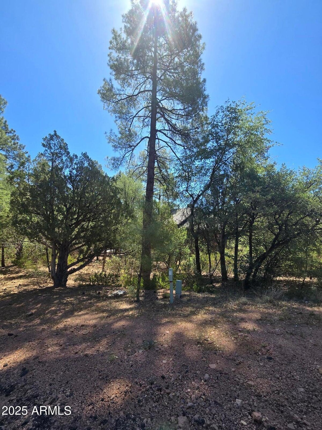 2511 E Pine Island Ln unit Lot  39, Payson, AZ 85541 - photo 1
