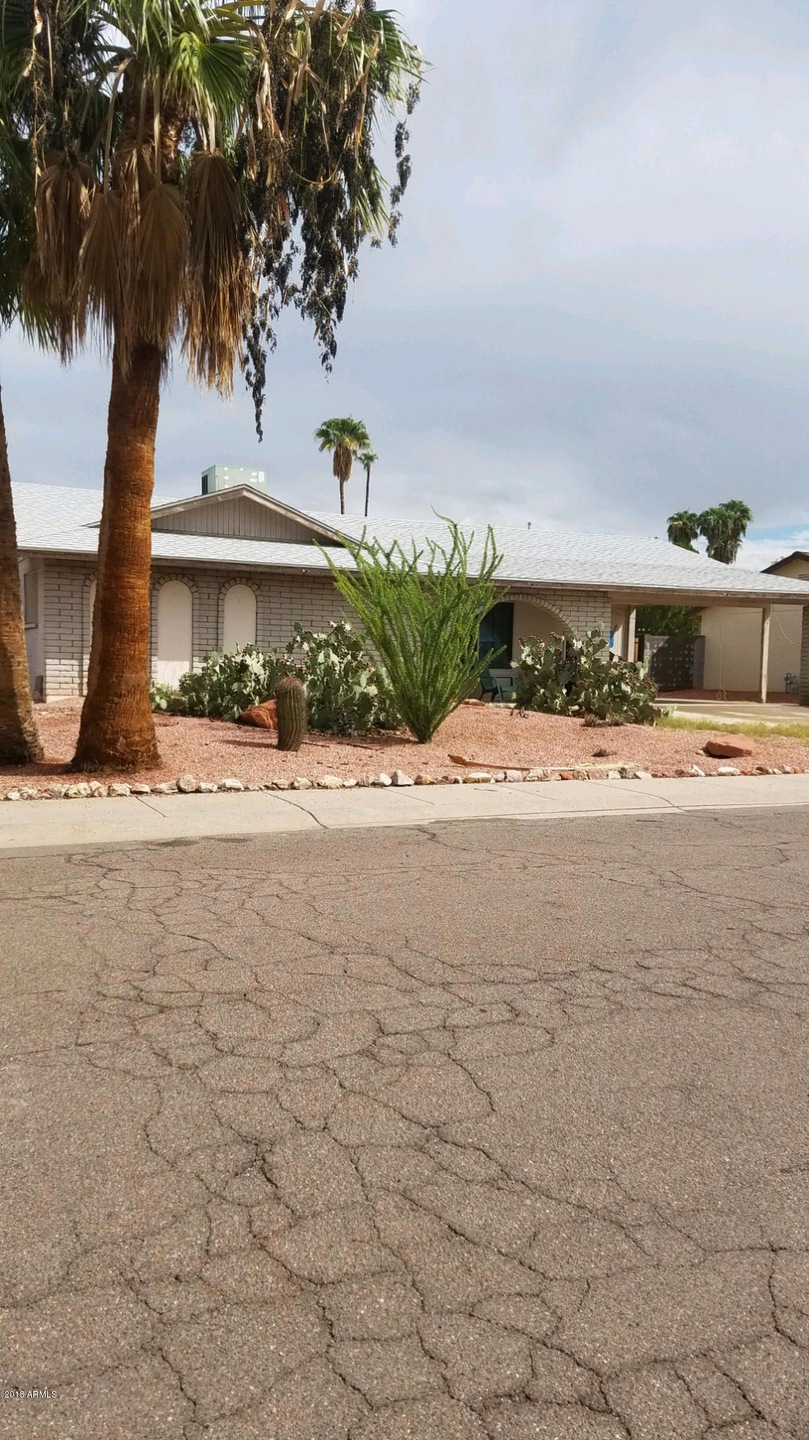 yucca pic 1