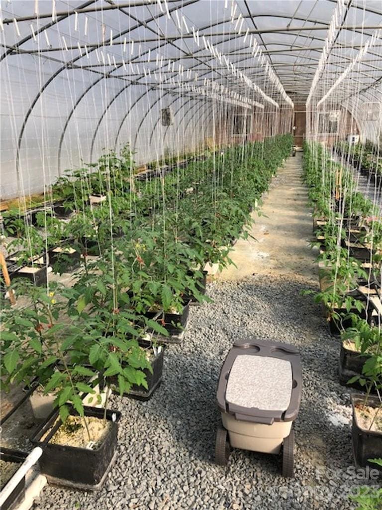 Green House's and their potential