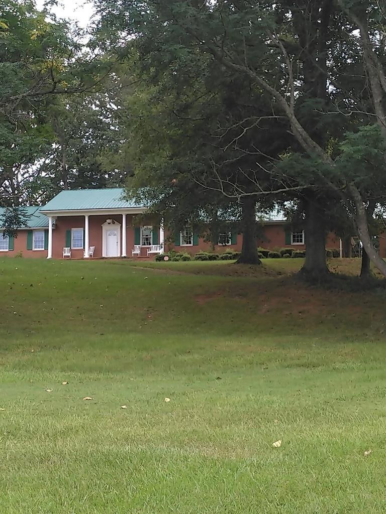 Main View
