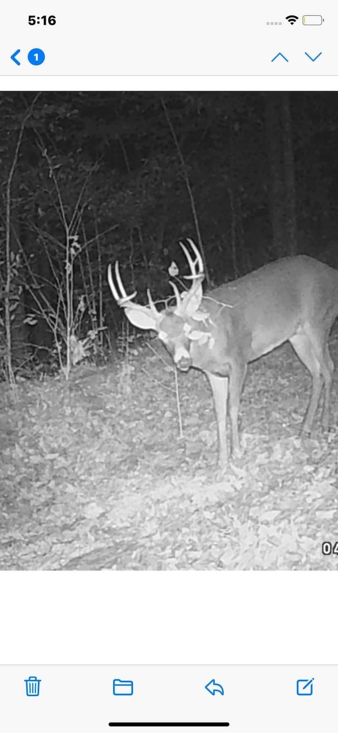 9999 Chestnut Branch Rd, Manchester, KY 40962 - photo 1