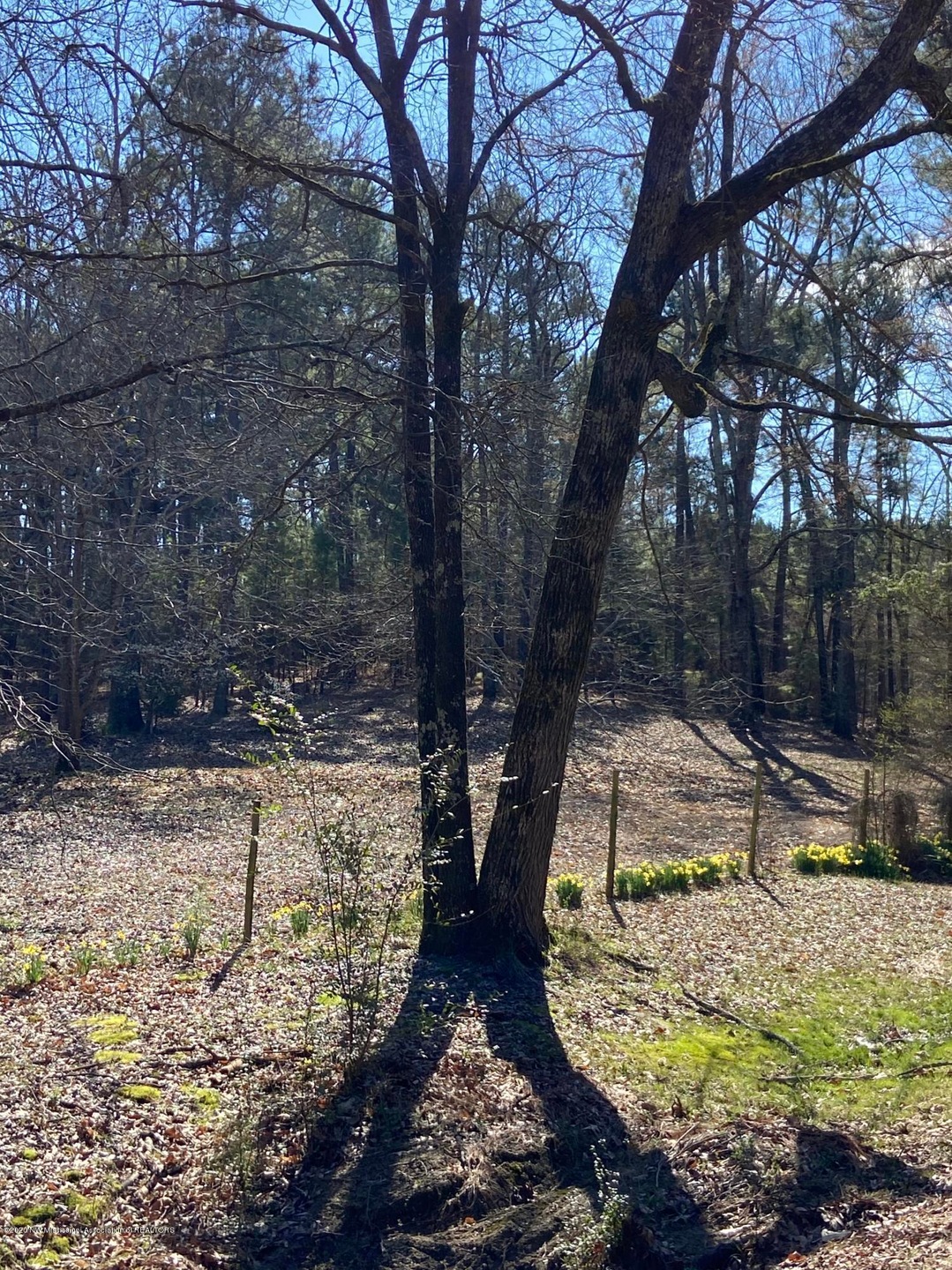 land 1