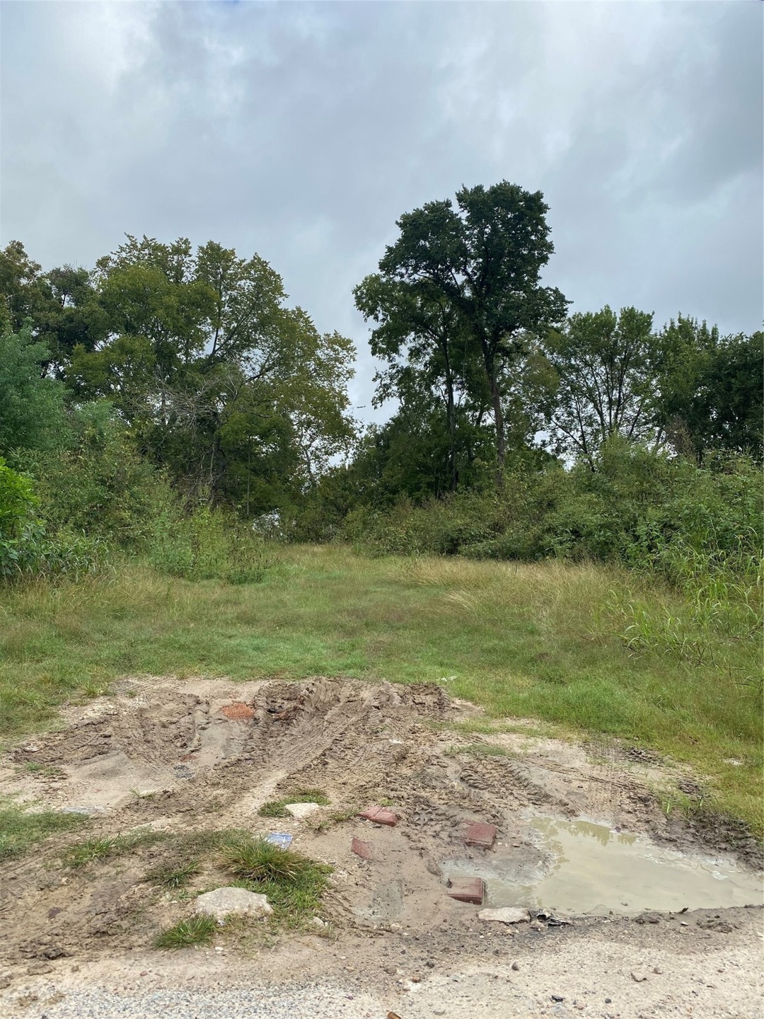 0 Bostic St unit 17305992, Houston, TX 77093 - photo 1