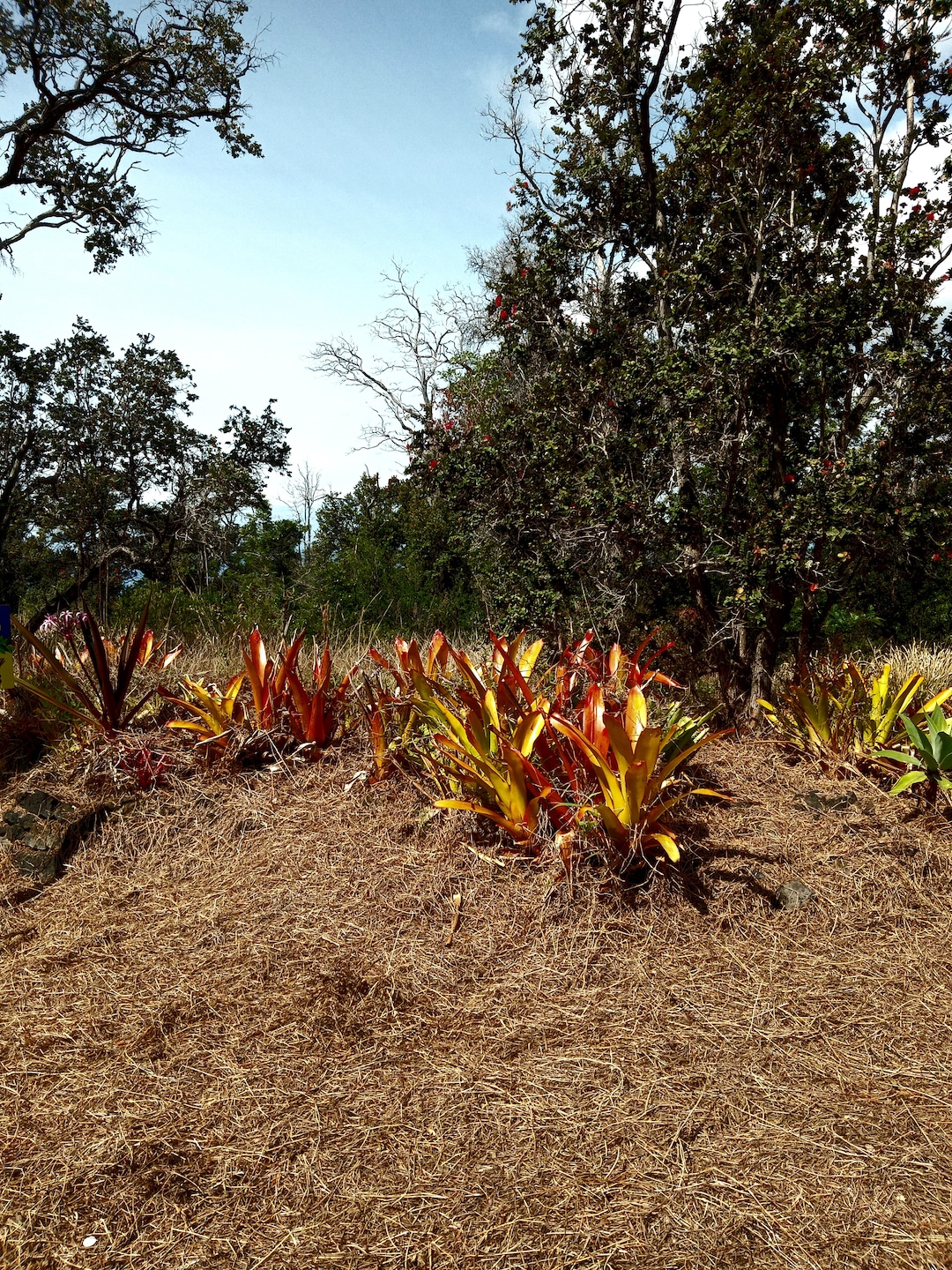 0 Coral Pkwy unit 721311, Ocean View, HI 96737 - photo 1